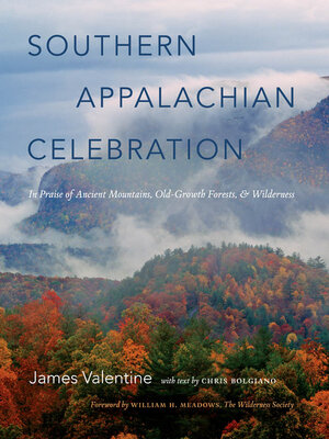 cover image of Southern Appalachian Celebration